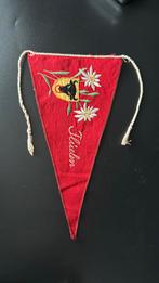 1950’s gebrodeerde wimpel- Flüelen (Zwitserland), Ophalen of Verzenden