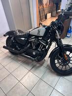 Harley davidson sportster iron 883, Motoren, Motoren | Harley-Davidson, Particulier