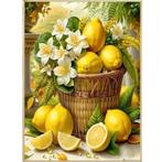 Panier à citron Diamond Painting 40x30cm (rond), Hobby & Loisirs créatifs, Bricolage, Envoi, Neuf, Bricolage