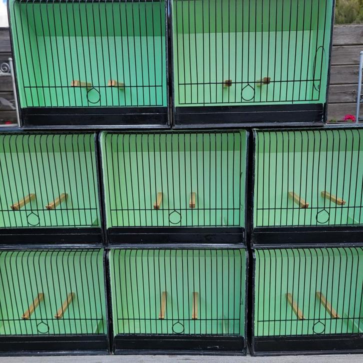Gloster TT kooien, Dieren en Toebehoren, Vogels | Hokken en Kooien, Zo goed als nieuw, Ophalen