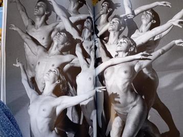 382) Snoecks 2008 beschikbaar voor biedingen