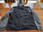 zwarte Hollister vest, Kleding | Heren, Truien en Vesten, Ophalen, Zo goed als nieuw, Maat 56/58 (XL), Zwart