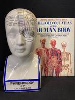 HUMAN BODY Alfred Mason Amadon & Phrenology head - Engels, Alfred Mason Amadon, Ophalen of Verzenden, Zo goed als nieuw, Geesteswetenschap