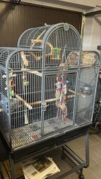 Parkieten/papegaaien kooi, Dieren en Toebehoren, Ophalen, Zo goed als nieuw