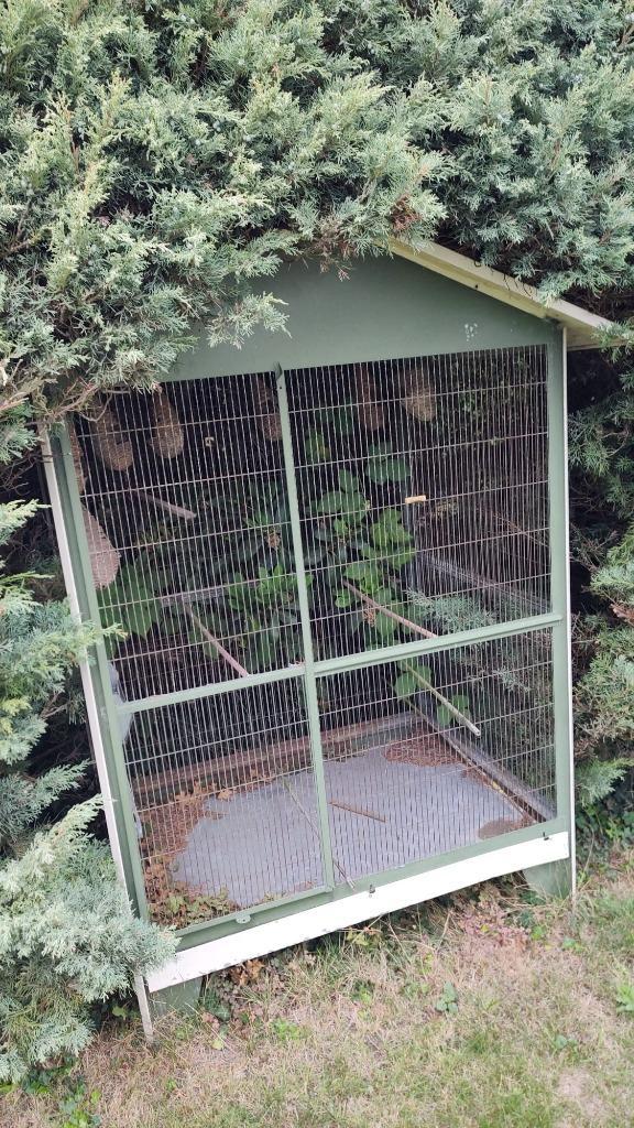 Te koop: Buitenvolière / Vogelvolière in goede staat, Dieren en Toebehoren, Vogels | Hokken en Kooien, Gebruikt, Volière, Overige materialen