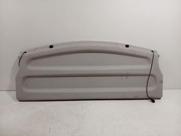 HOEDENPLANK Renault Zoé (AG) (01-2012/03-2024) (794203271R) beschikbaar voor biedingen
