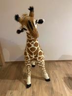Grote giraf knuffel staand, Ophalen, Zo goed als nieuw, Overige typen