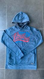 Hoody jongens 16 jaar Petrol, Petrol, Pull ou Veste, Utilisé, Garçon