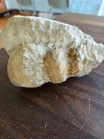 Steen met ammoniet, Verzamelen, Ophalen of Verzenden