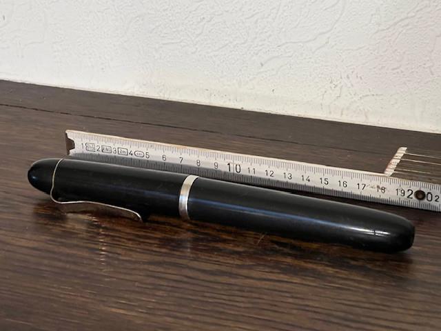 Porte plume XXL décoratif. Long de 20 cm, Collections, Stylos, Stylo, Enlèvement