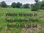 Weiland te koop vrij van huur & pacht., Immo, Gronden en Bouwgronden