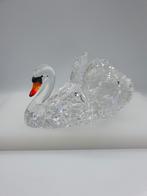 Swarovski Gracieuze Zwaan 1141713., Ophalen of Verzenden