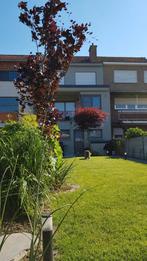 Terhagen, panoramisch zicht op het water, Immo, Huizen en Appartementen te koop, Rumst, 3 kamers, Mechelen