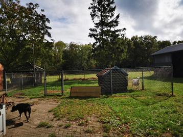 Goede ruim dierenverblijf beschikbaar voor biedingen