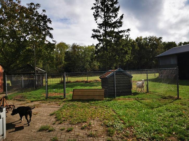 Goede ruim dierenverblijf, Dieren en Toebehoren, Schapen, Geiten en Varkens