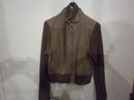 Jas - blouson in fluweel -  nog nieuw, Kleding | Dames, Ophalen of Verzenden, Maat 42/44 (L)