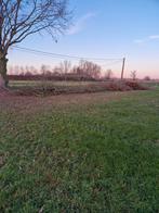 Hakselhout, Tuin en Terras, Verzenden