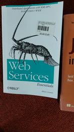 Livres java javascript webservices jboss ibatis struts, Livres, Enlèvement ou Envoi, Comme neuf