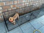 Hondenren te koop met 1 deurtje, merk SAVIC, Ophalen, Gebruikt
