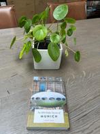 The 500 Hidden Secrets of Munich, Ophalen of Verzenden, Zo goed als nieuw, Europa, Reisgids of -boek