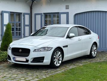 Jaguar xf, Cuir, Achat, Euro 6, Carnet d'entretien