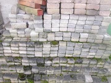 beton  tegel 11x11x6 beschikbaar voor biedingen