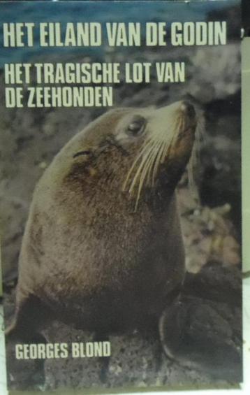 Het eiland van de godin, het tragische lot van de zeehonden, beschikbaar voor biedingen