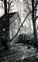 Balen - Topmolentje, Verzamelen, Verzenden, 1980 tot heden, Ongelopen, Antwerpen