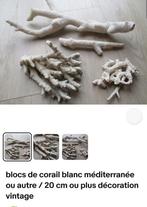 Wit koraal, Verzamelen, Ophalen of Verzenden