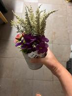 Namaak winter bloemstuk . Nieuw !, Enlèvement, Neuf, Intérieur