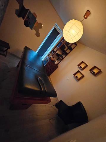 Professionele energetische olie massage. beschikbaar voor biedingen