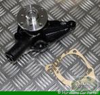 Waterpomp MGB vanaf 1972 tot en met 1980, -, -, Nieuw, Ophalen of Verzenden