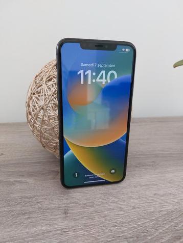 Gerenoveerde iPhone 11 Pro Max 64 GB spacegrijs 