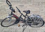 Dames Batavus Cayuca maat 53, 50 tot 53 cm, Ophalen, Gebruikt, Batavus