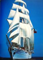 Encyclopédie des Voiliers - 1994 - Dominique Buisson, Autres régions, Enlèvement ou Envoi, Dominique Buisson, Utilisé