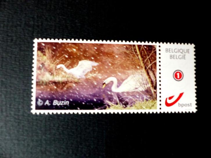 Mystamp / Duostamp Buzin - Vogels : Zwaan MPO (2012), Postzegels en Munten, Postzegels | Europa | België, Postfris, Postfris, Ophalen of Verzenden