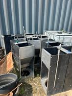 Voederbakken varkens, Dieren en Toebehoren, Schapen, Geiten en Varkens, Varken