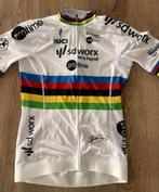 Gesigneerde wielertruitjes tvv KOTK - Lotte Kopecky, Ophalen of Verzenden, Nieuw, Kleding