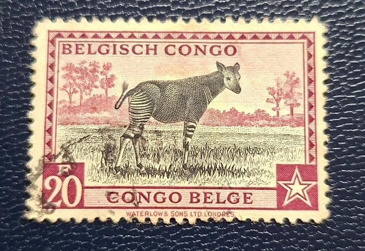 Postzegel Belgisch Congo OBP 246, Postzegels en Munten, Postzegels | Europa | België, Gestempeld, Gestempeld, Ophalen of Verzenden
