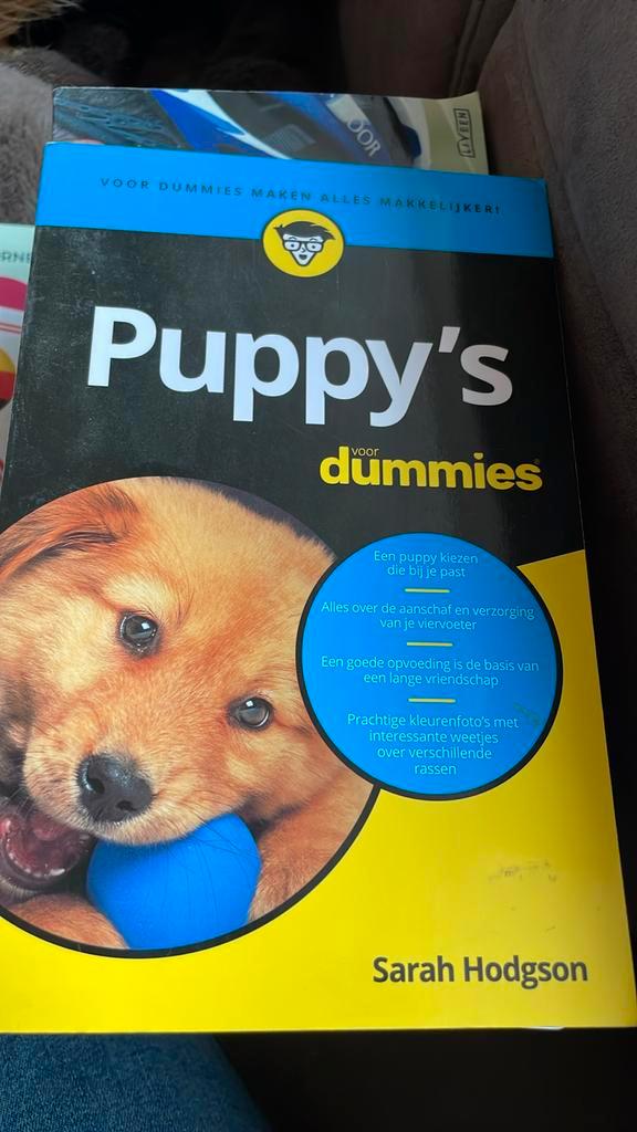Sarah Hodgson - Puppy's voor Dummies, Boeken, Dieren en Huisdieren, Zo goed als nieuw, Honden, Ophalen of Verzenden