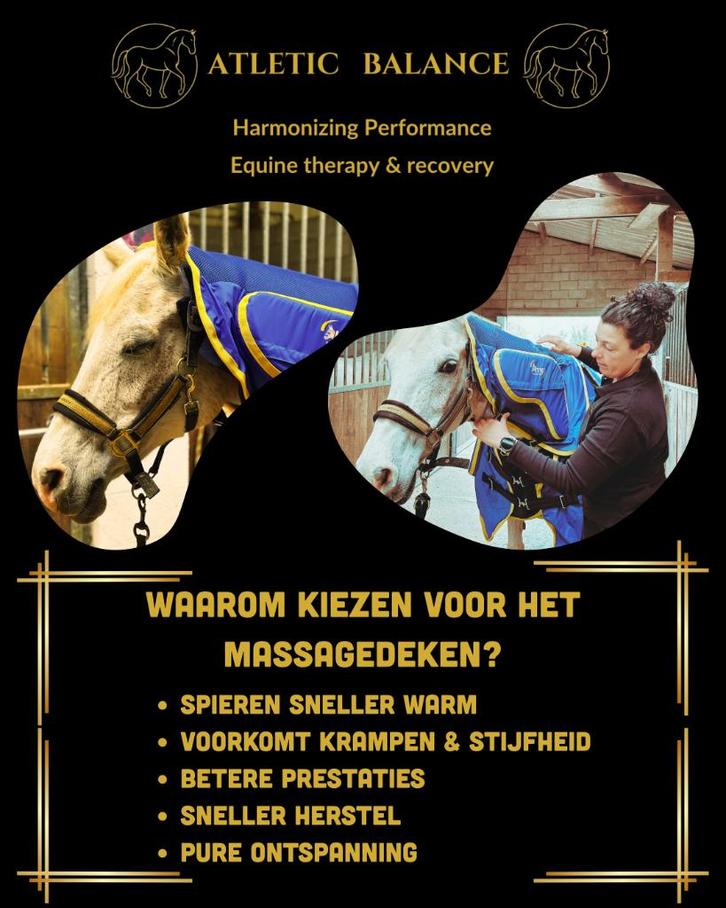 TE HUUR Anduvet massagedeken voor paarden, Dieren en Toebehoren, Paarden en Pony's | Overige Paardenspullen, Nieuw, Overige soorten