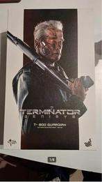 Hot Toys Terminator Genesis T 800 MMS307 1/6th scale figuur, Verzamelen, Ophalen, Zo goed als nieuw, Film