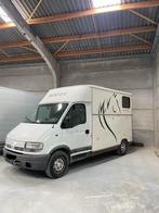 Camionnette chevaux permis B, Achat, 3 places, Renault, Diesel