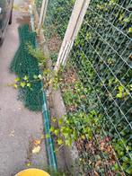 palen/afsluiting dia 60mm 3m -groen/ bovenbuis dia 42mm(6m), Tuin en Terras, Ophalen, Nieuw, Palen