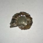 Kleine Ammoniet -  5gram - 28mm x 22mm x 6mm, Ophalen of Verzenden, Fossiel