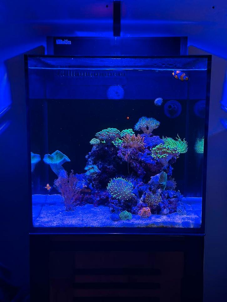 Red sea max nano, Dieren en Toebehoren, Vissen | Aquaria en Toebehoren, Zo goed als nieuw, Ophalen