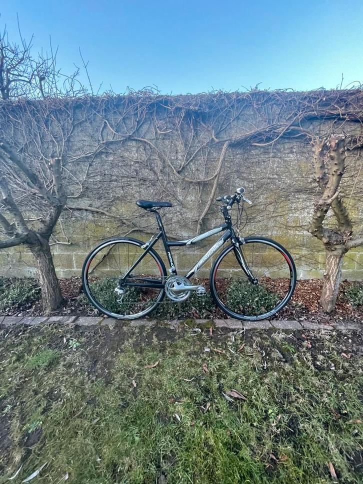 Koersfiets/allroundfiets Ridley, Fietsen en Brommers, Fietsen | Racefietsen, Zo goed als nieuw, Dames, Overige merken, Meer dan 20 versnellingen