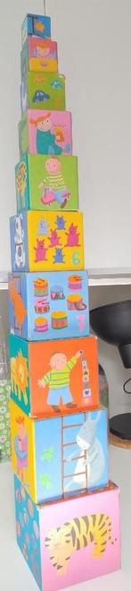 Cubes de construction Djeco 1 an 2 ans 3 ans, Enlèvement, Utilisé, 6 mois à 2 ans