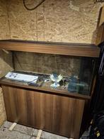 Aquarium juwel rio 240 met onderkast, Dieren en Toebehoren, Ophalen, Zo goed als nieuw, Leeg aquarium
