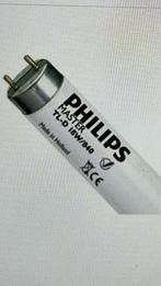 10x Philips TL-D super G13 + starters - NIEUW!!!, Ophalen, Nieuw, Minder dan 30 watt, Overige typen